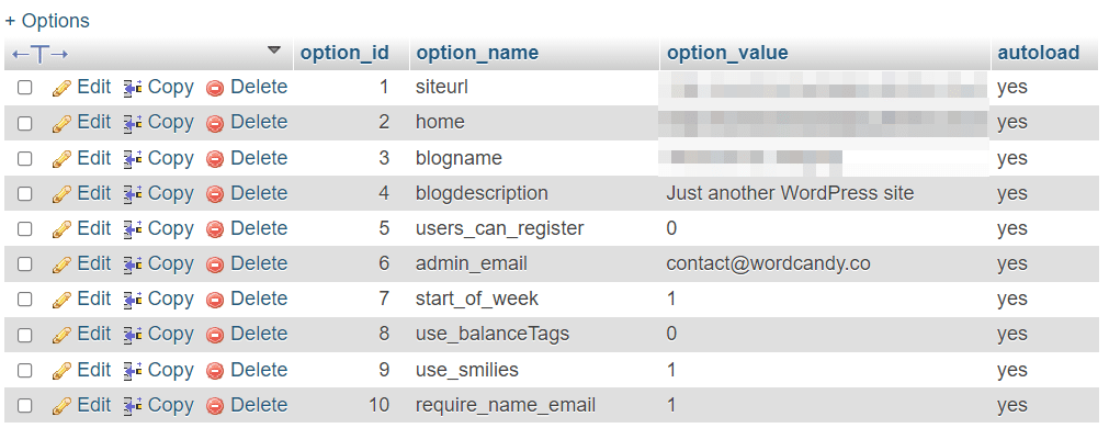 检查wp_options以自动加载数据